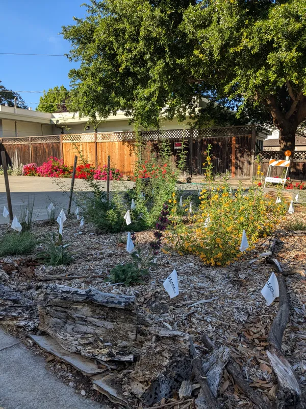 The Willows Nursery School Pollinator Garden