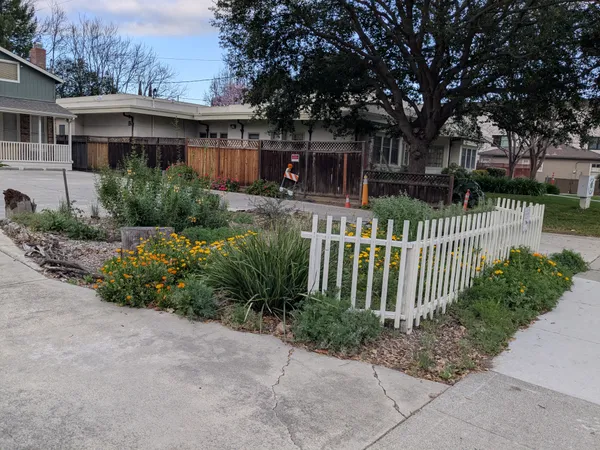 The Willows Nursery School Pollinator Garden