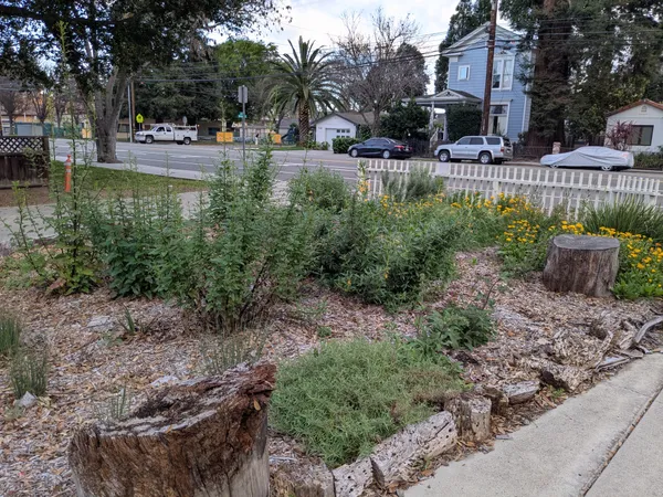 The Willows Nursery School Pollinator Garden