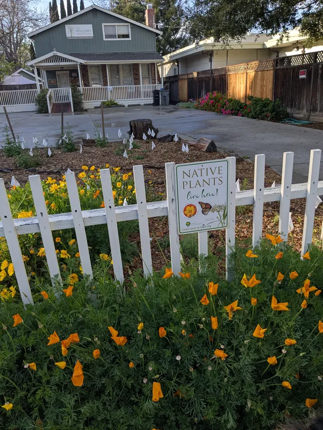 The Willows Nursery School Pollinator Garden